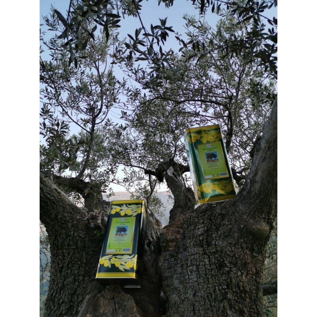 20 Litri di olio extravergine di oliva VARCARO in confezione da n. 4 Lattine da 5 lt