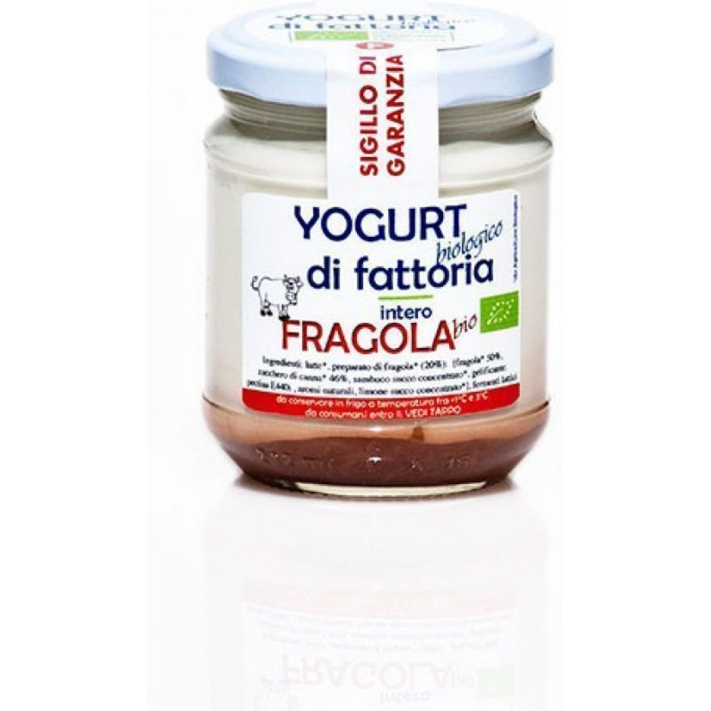 Yogurt fragola - 300 gr BIO