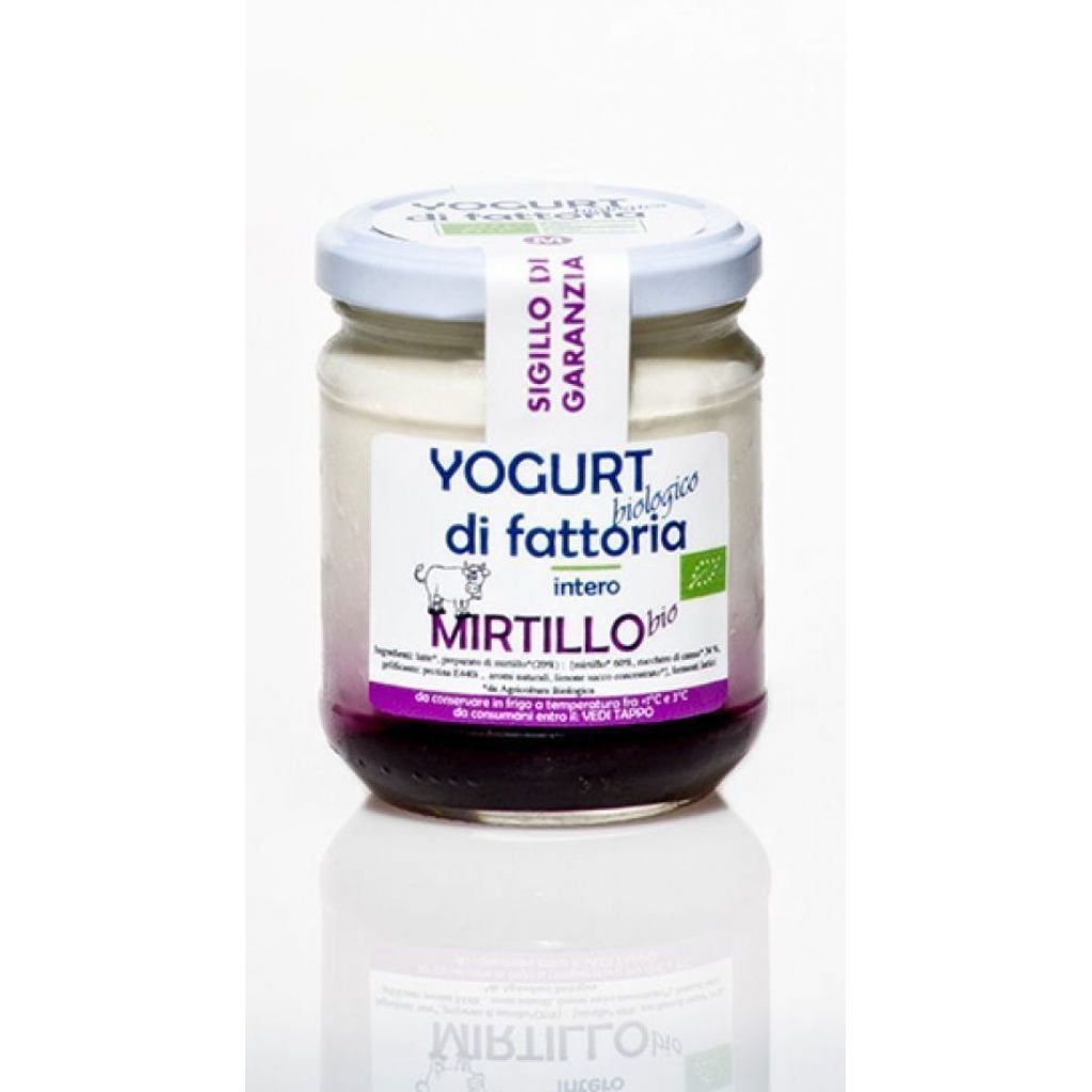 Yogurt mirtillo - 300 gr BIO