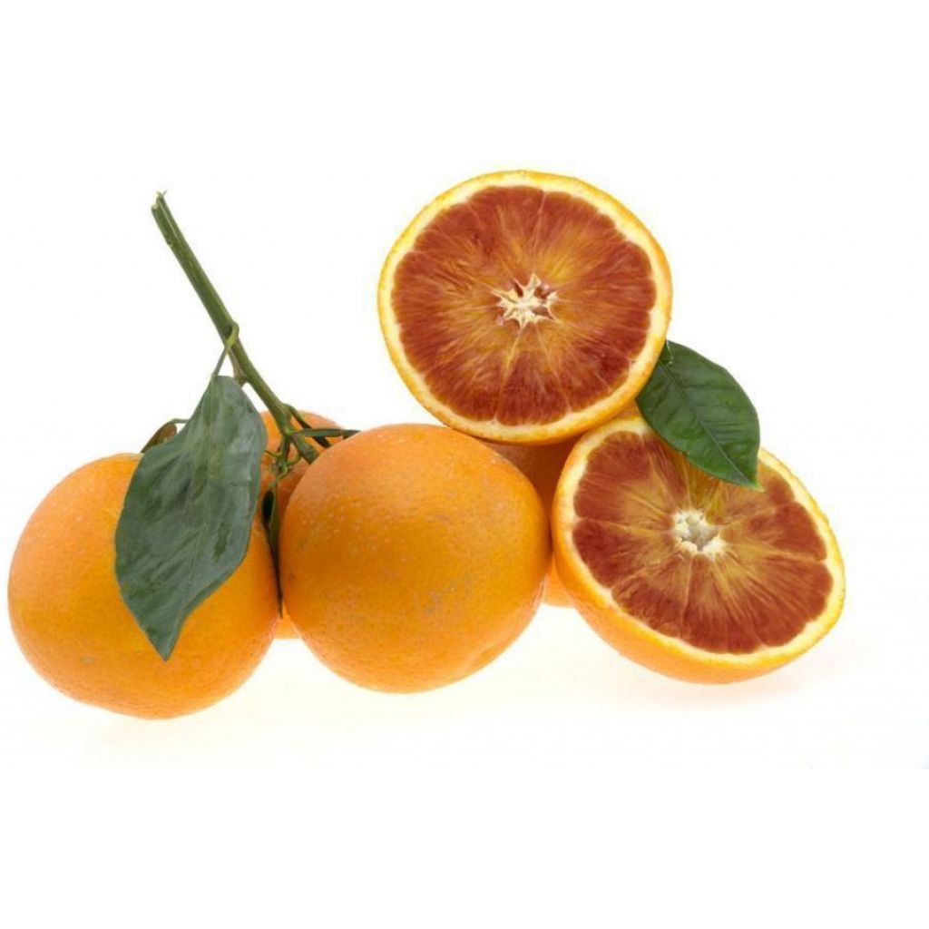Confezione di arance 15Kg