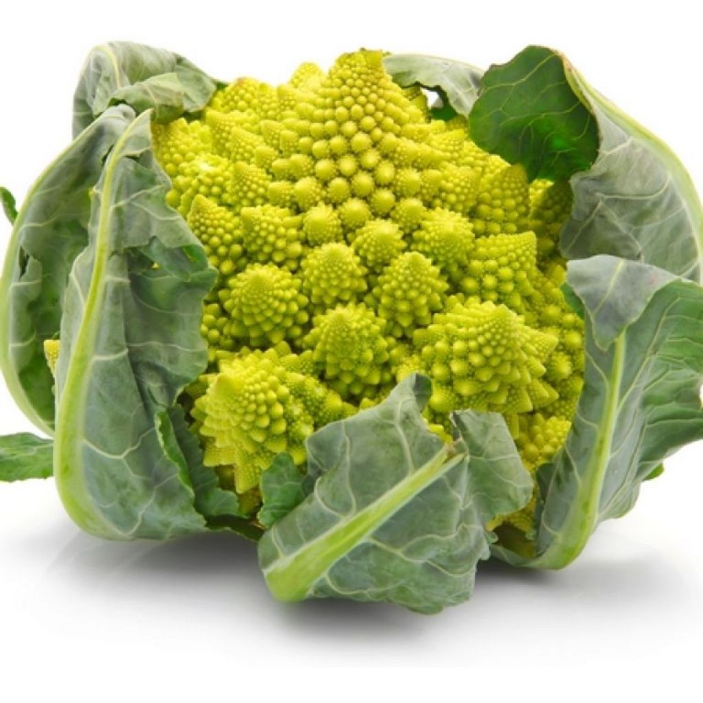 Romano cabbage Broccoli