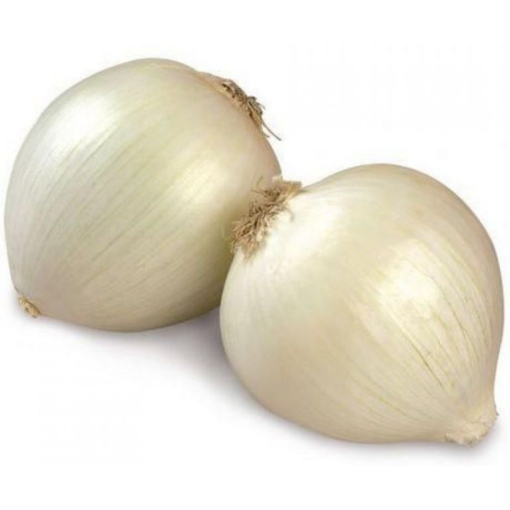 Cipolle viola fresche