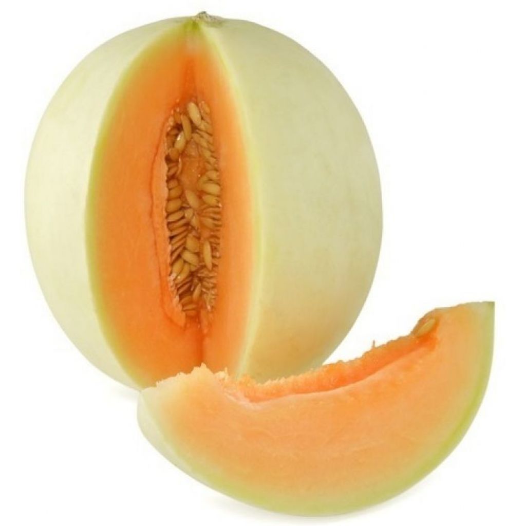 Meloni Lisci