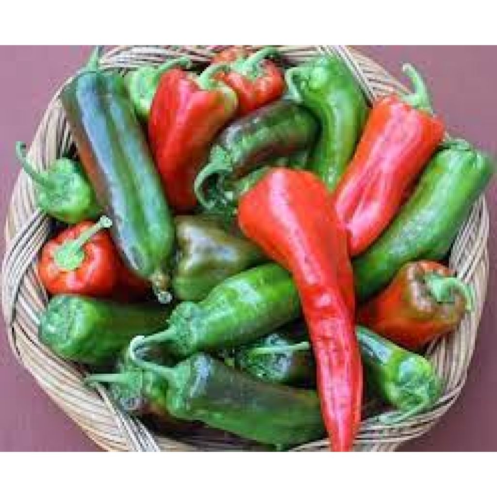 Peperone corno dolce
