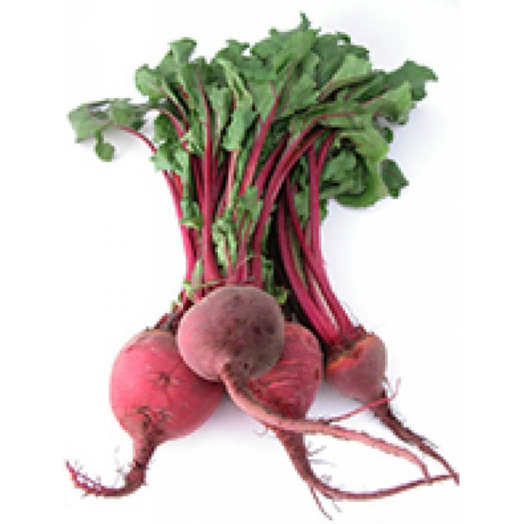 Beetroot - ord. by piece