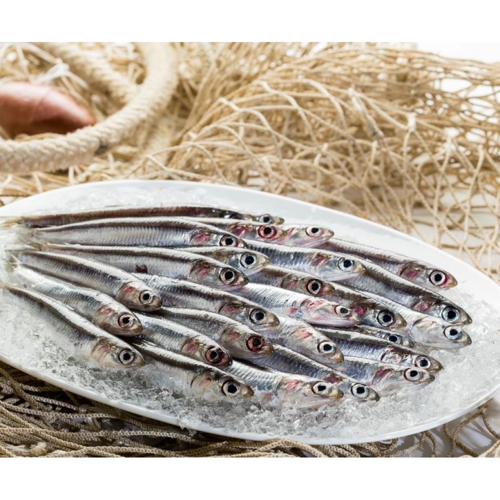 WHOLE ANCHOVIES KG 1