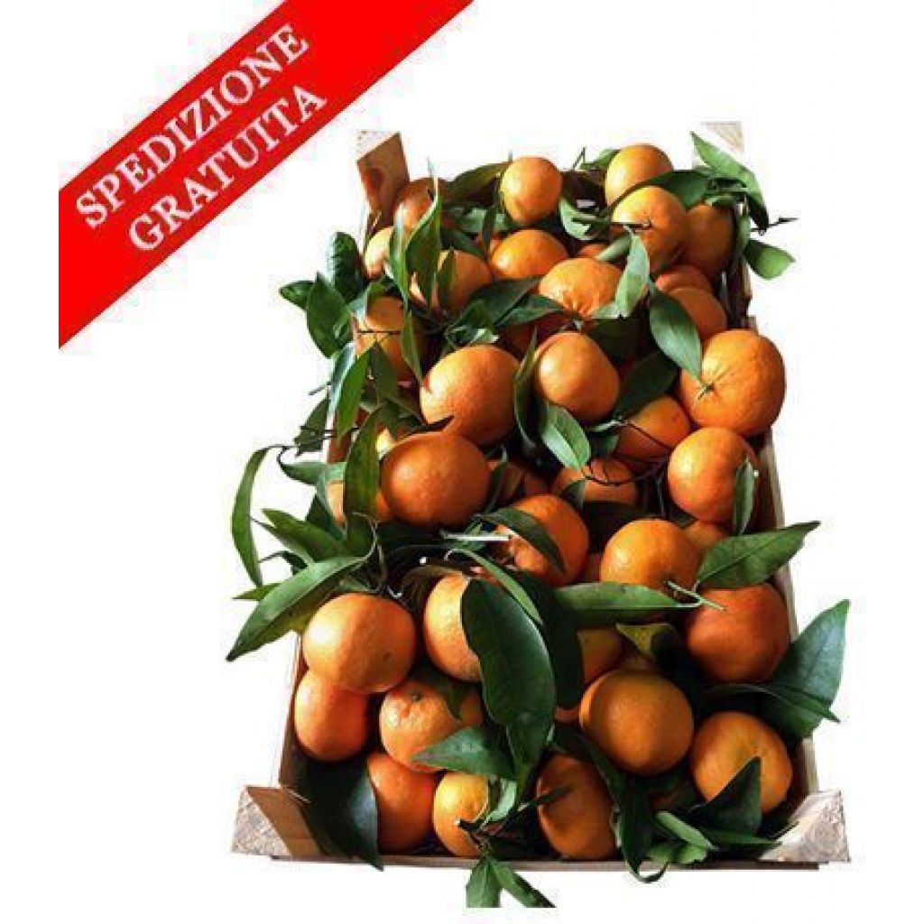 CLEMENTINE seedless NATURAL