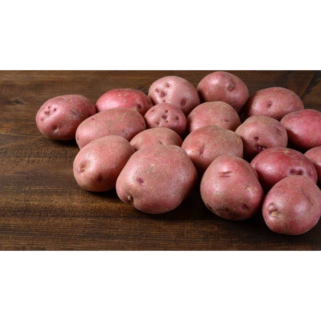 Patate rosse novelle
