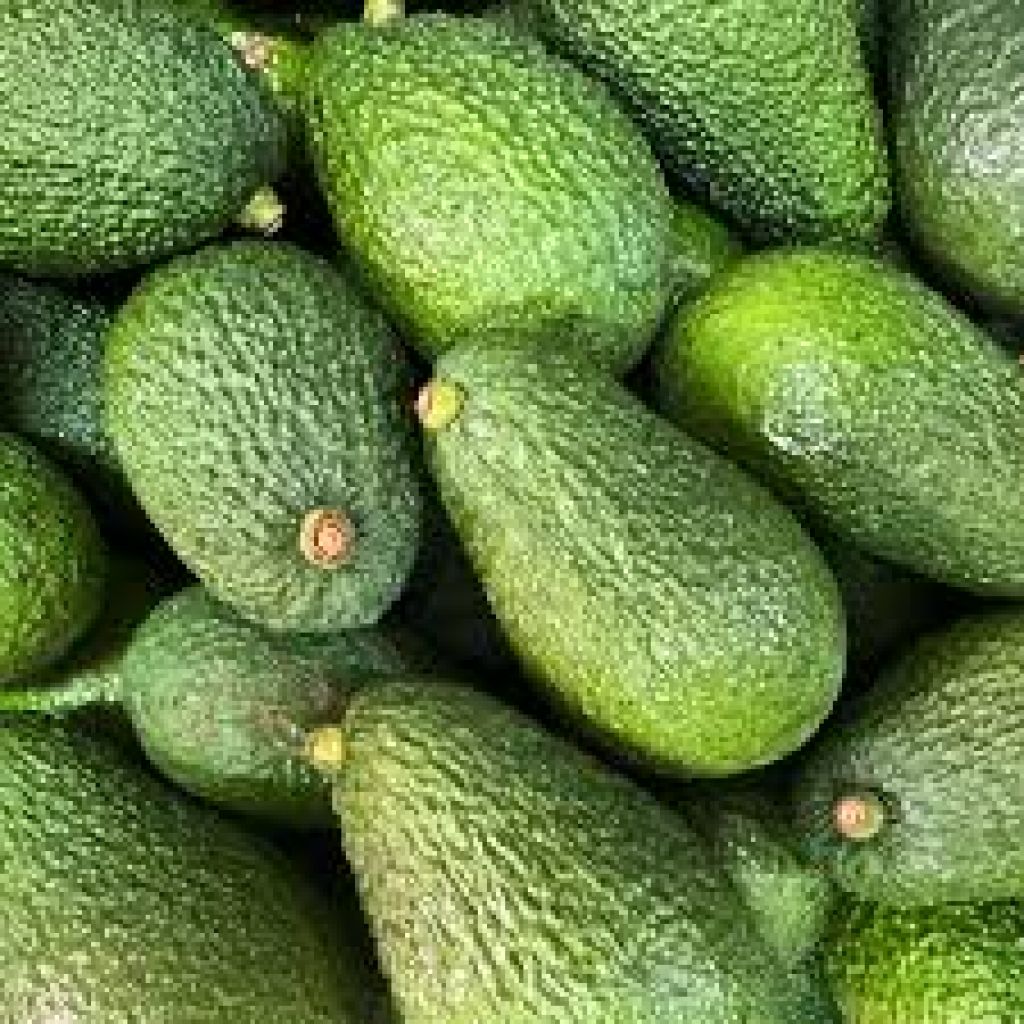 Avocado (Sicilia)