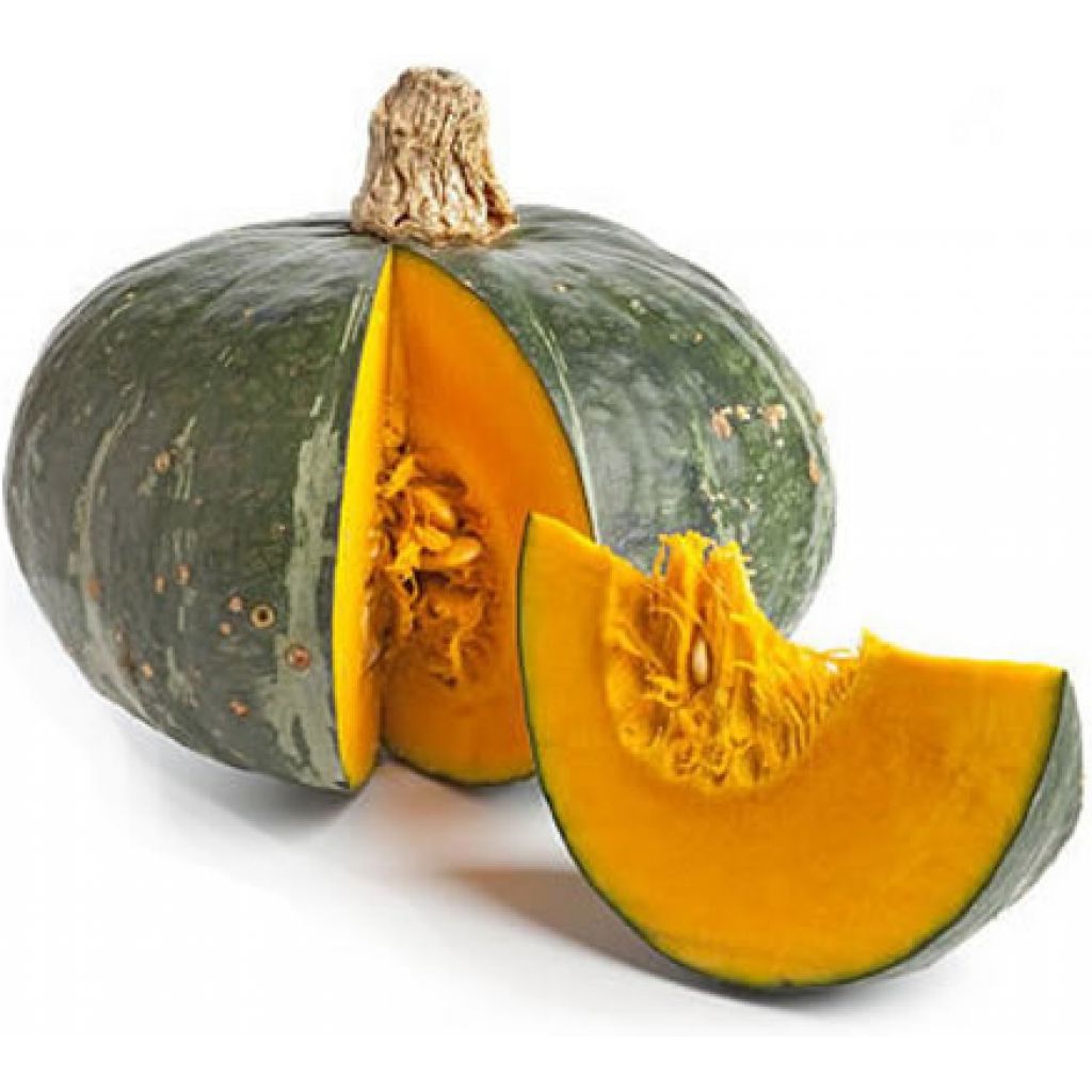 Zucca Delica
