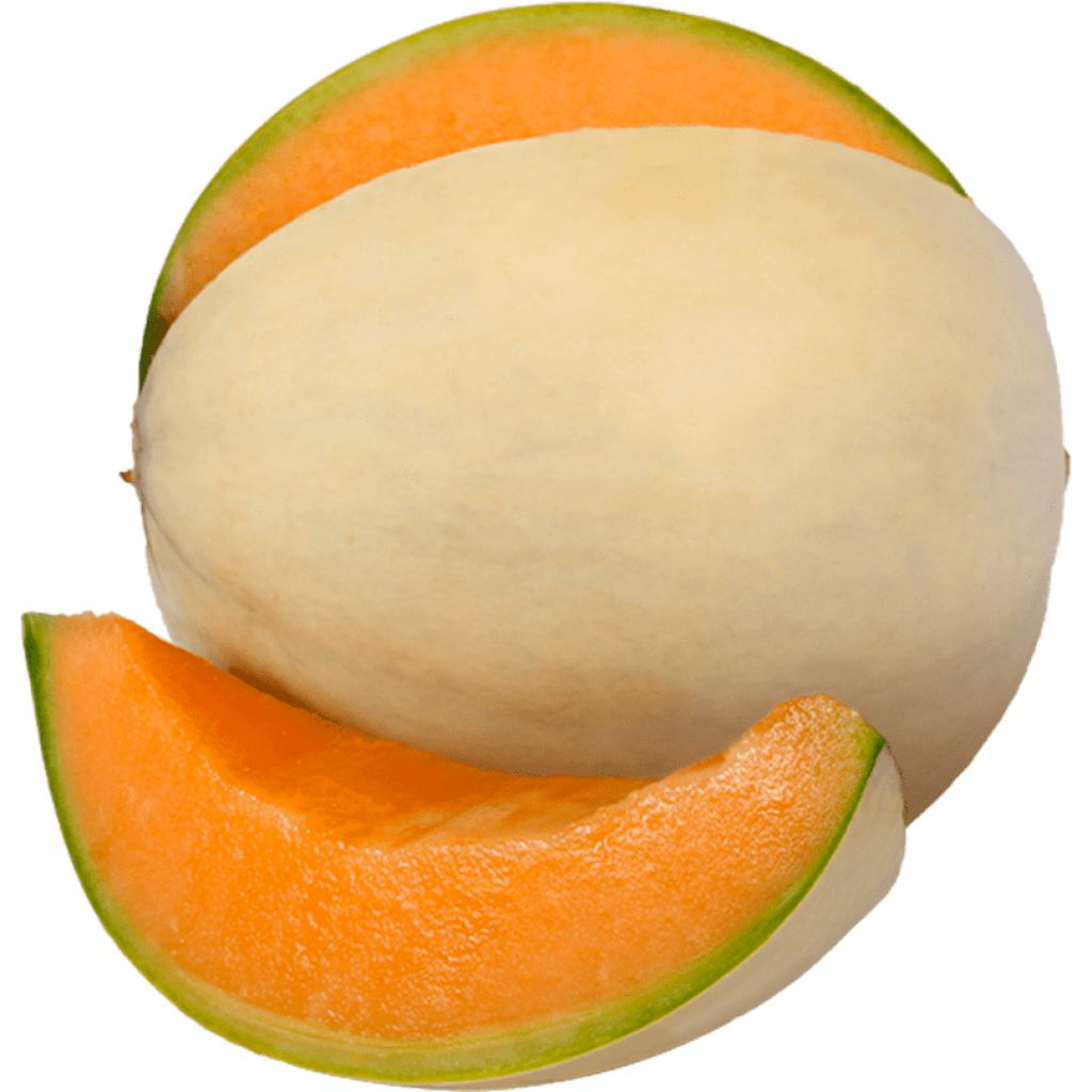 Melone liscio
