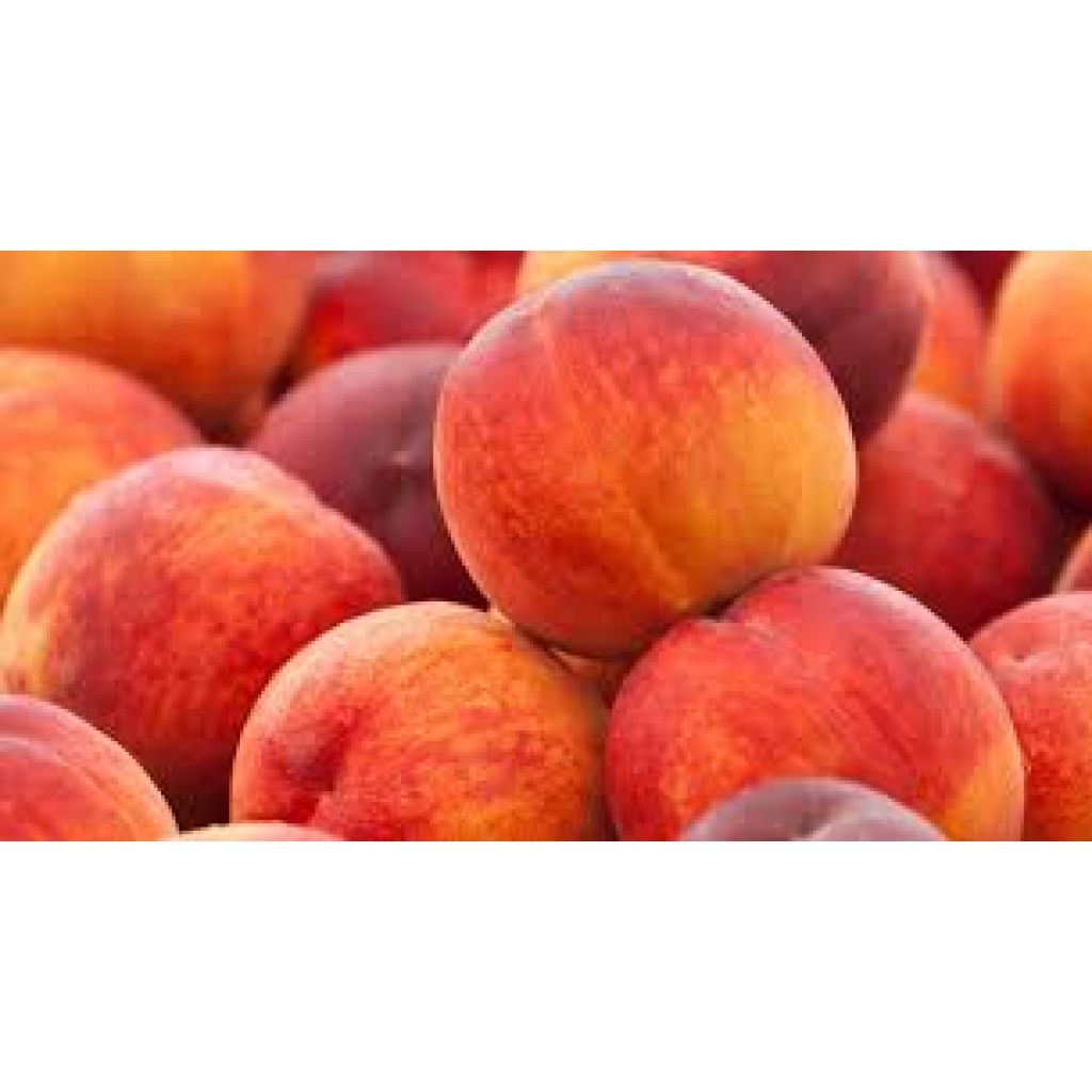 Pesche gialle