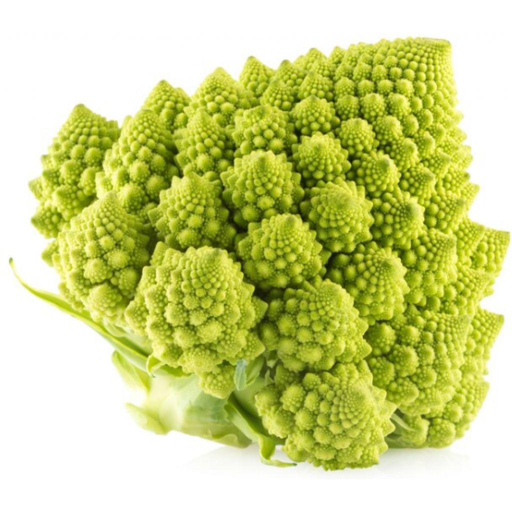 Broccolo Romanesco