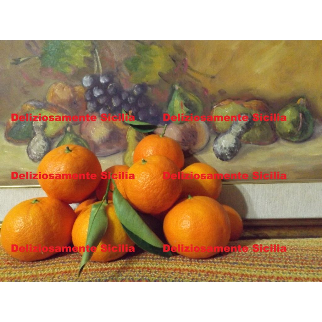 Clementine nova senza semi di Sicilia - 25 Kg.
