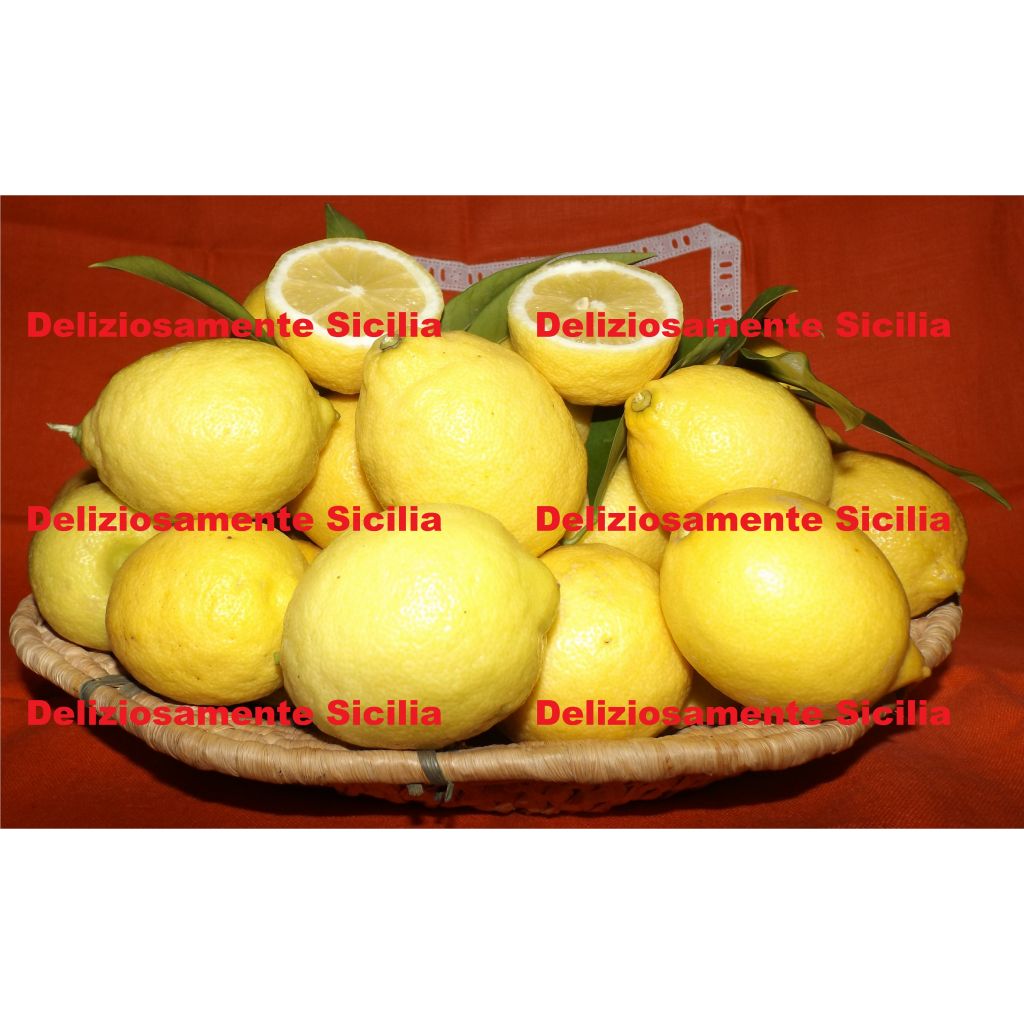 Limoni di Sicilia - 10 Kg.