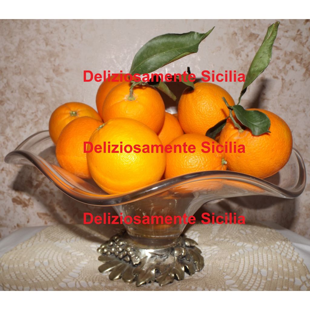 Arance bionde Navel da tavola di Sicilia - 25 Kg.