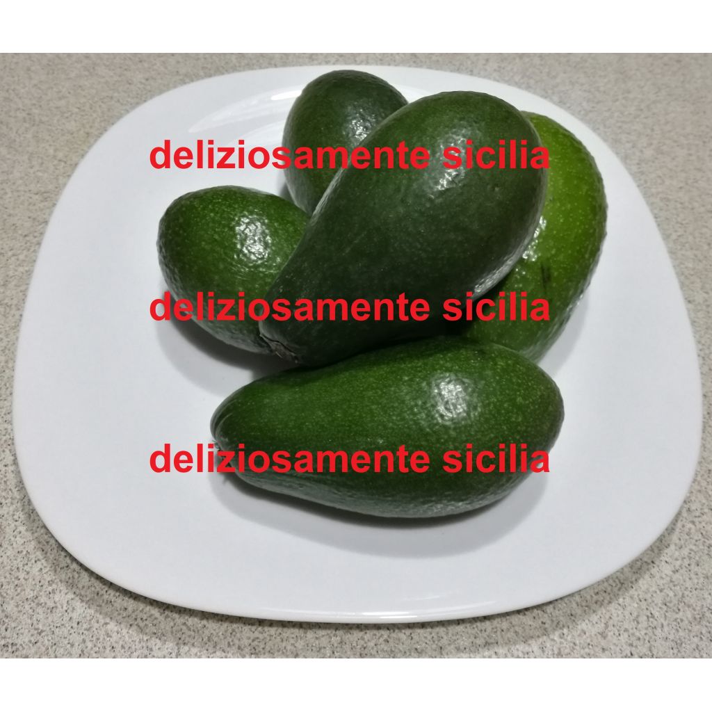 Avocado di Sicilia - 5 Kg.