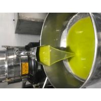 olio extravergine di oliva 2