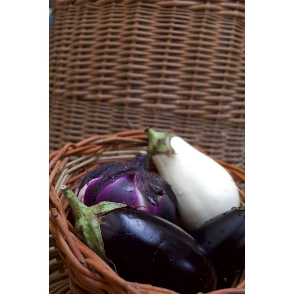 Melanzane lunghe, tonde e violette Kg 0,5
