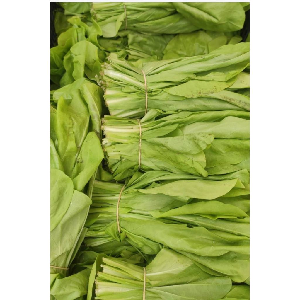 Radicchio BIO a mazzo