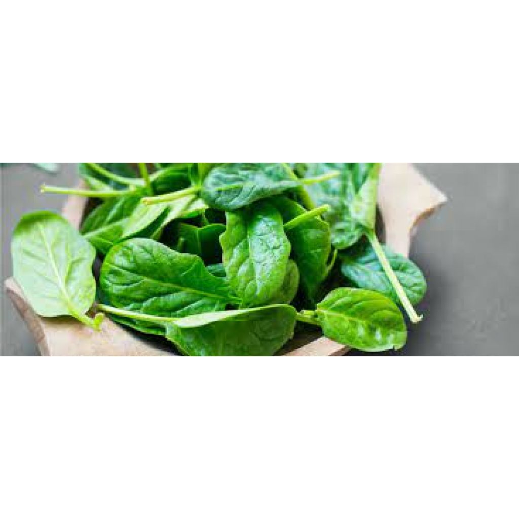 Spinaci BIO Kg 0,5