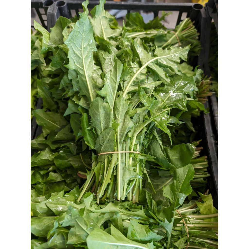 Tarassaco BIO al mazzo