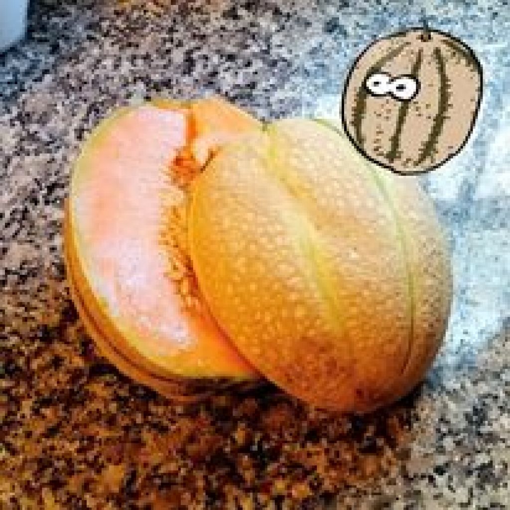 Melone Retato - 1 pezzo = 1/2 Kg