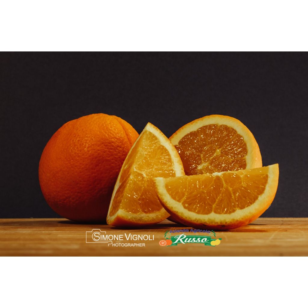 Ribera PDO washington navel oranges for squeezing 16 kg box