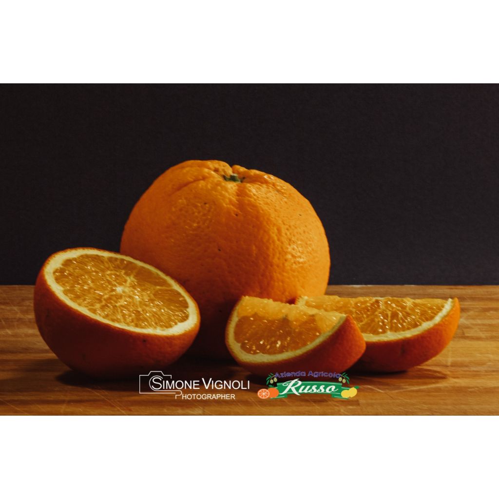 Ribera PDO washington navel oranges