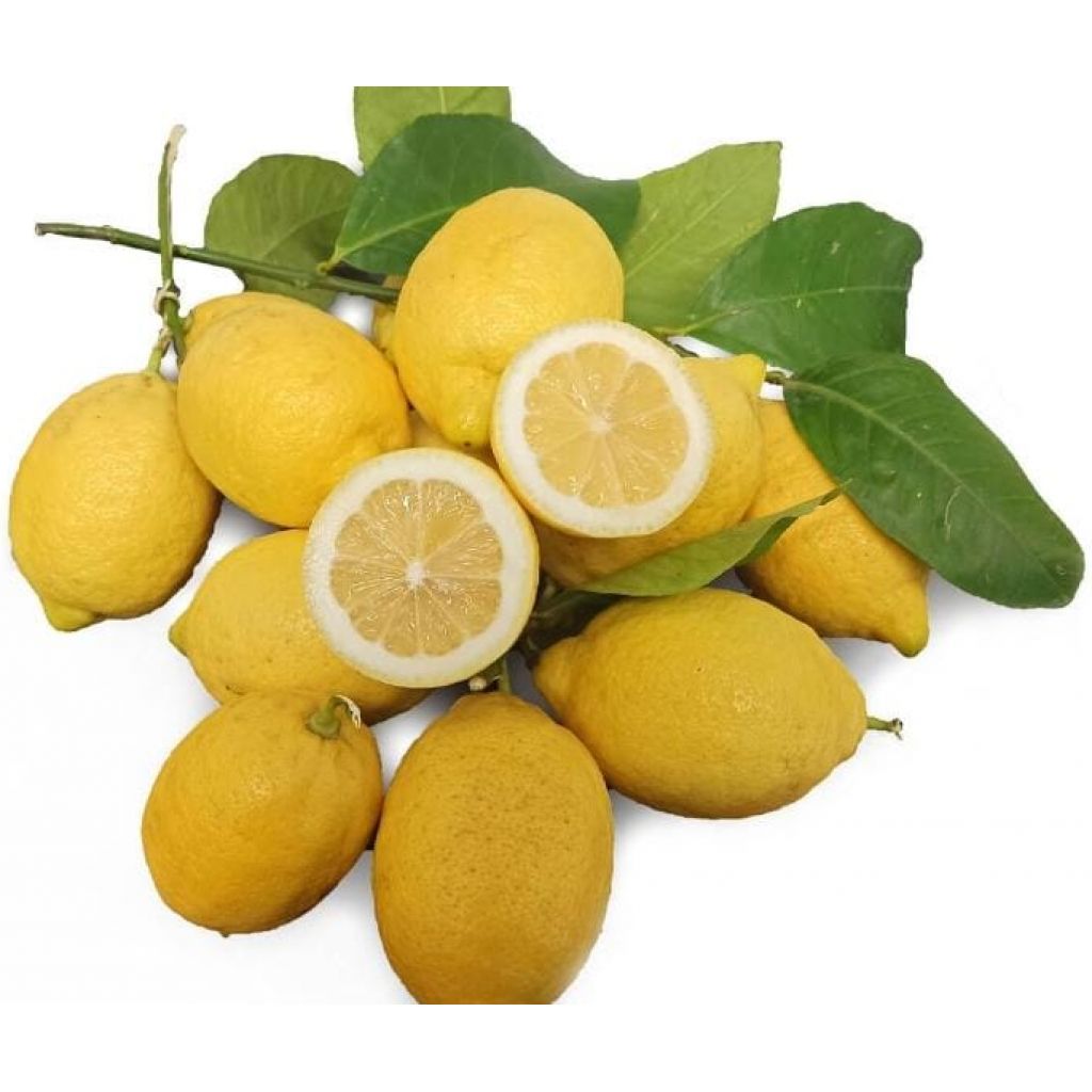 Box of 10Kg of lemon lemons