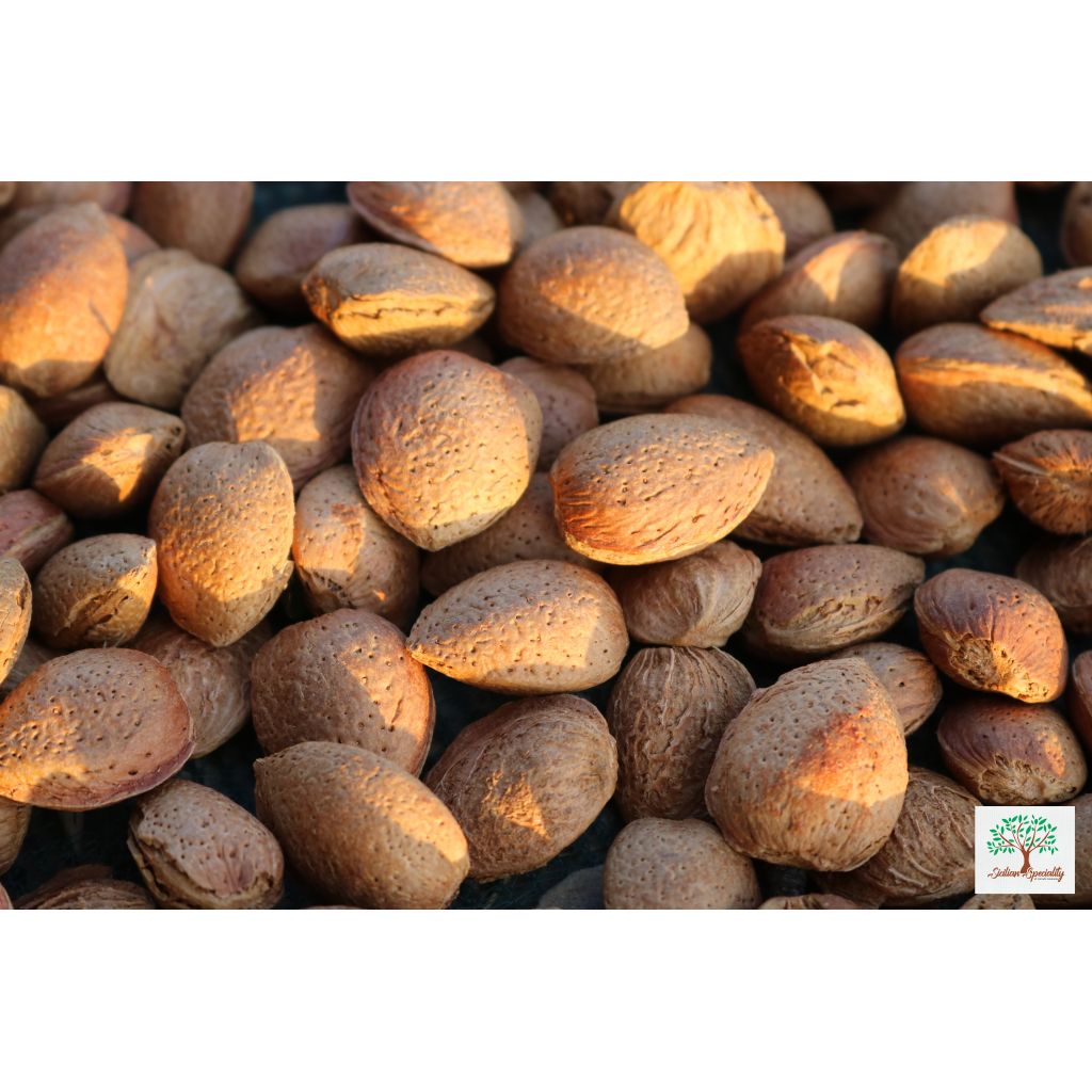 Sicilian natural sweet almonds in soft shell, 1 Kg Harvest August 2025