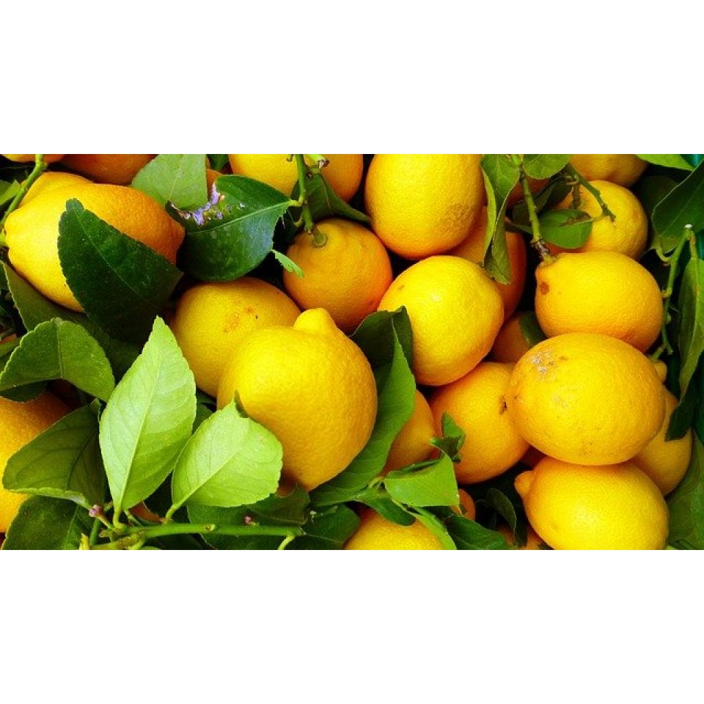 Pacco 9 Kg di Limoni Zagara Bianca - Buccia edibile