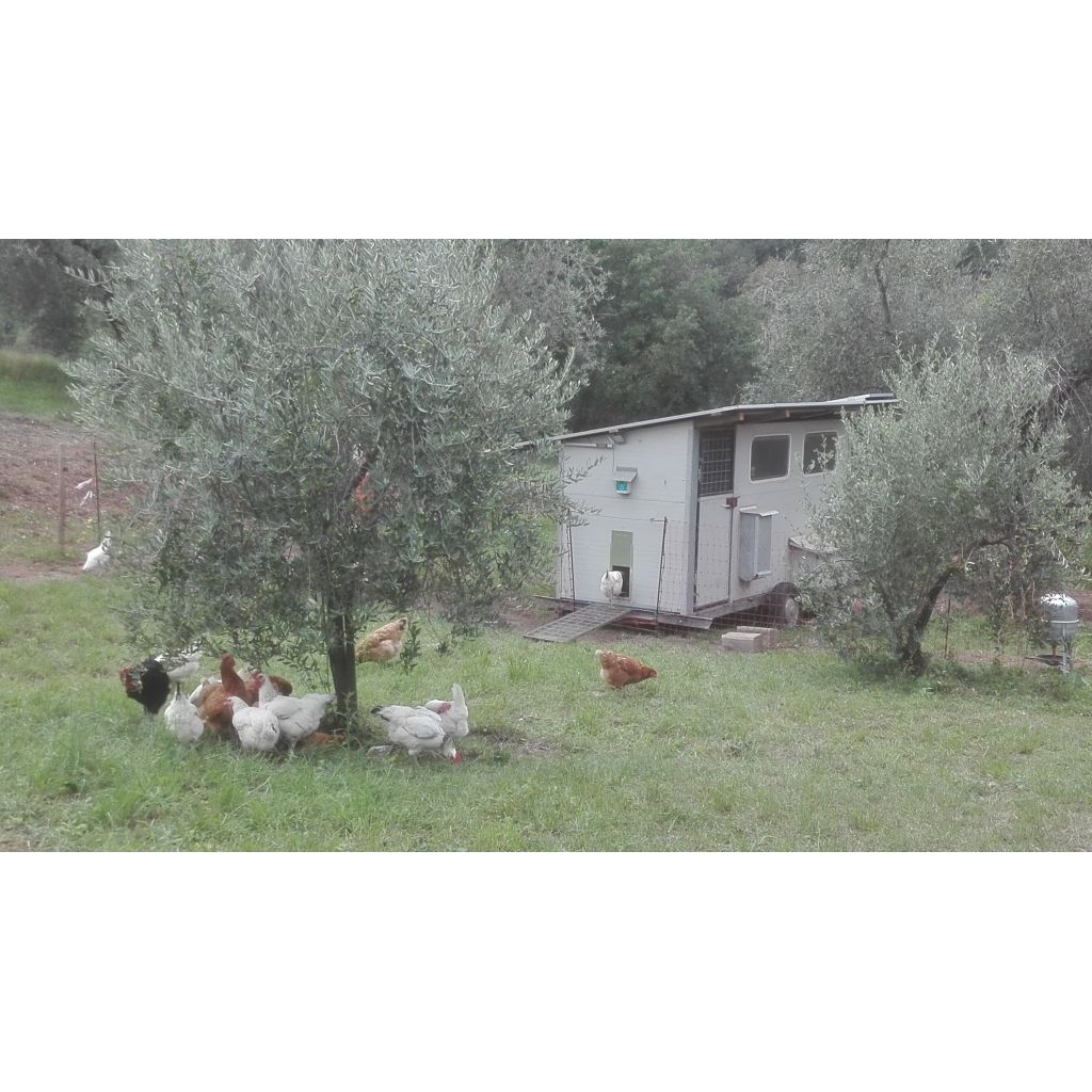 Contenitore da 6 uova