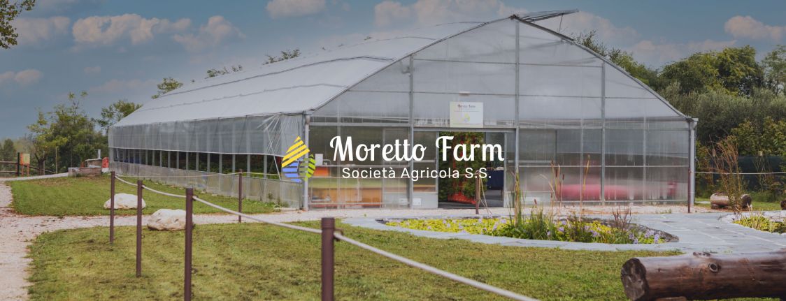 MORETTO FARM Società Agricola s.s.