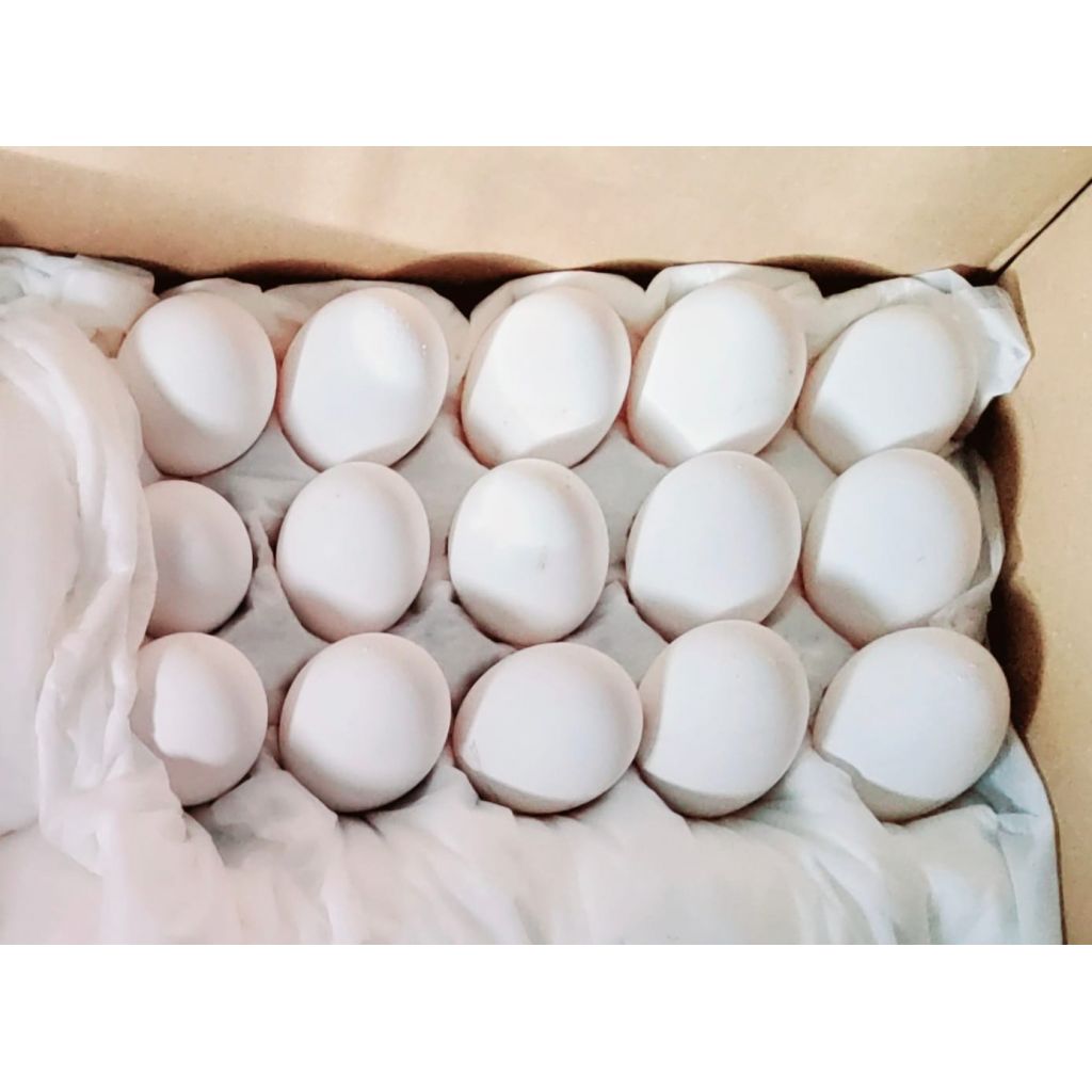 Uova feconde livorno bianca