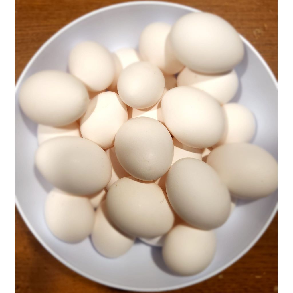 Confezione da 6 uova freschissime