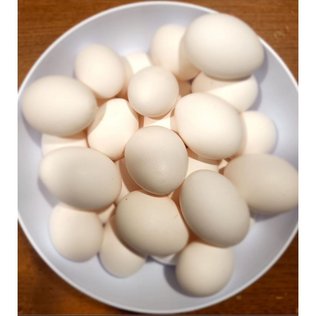 Offerta 30 uova freschissime