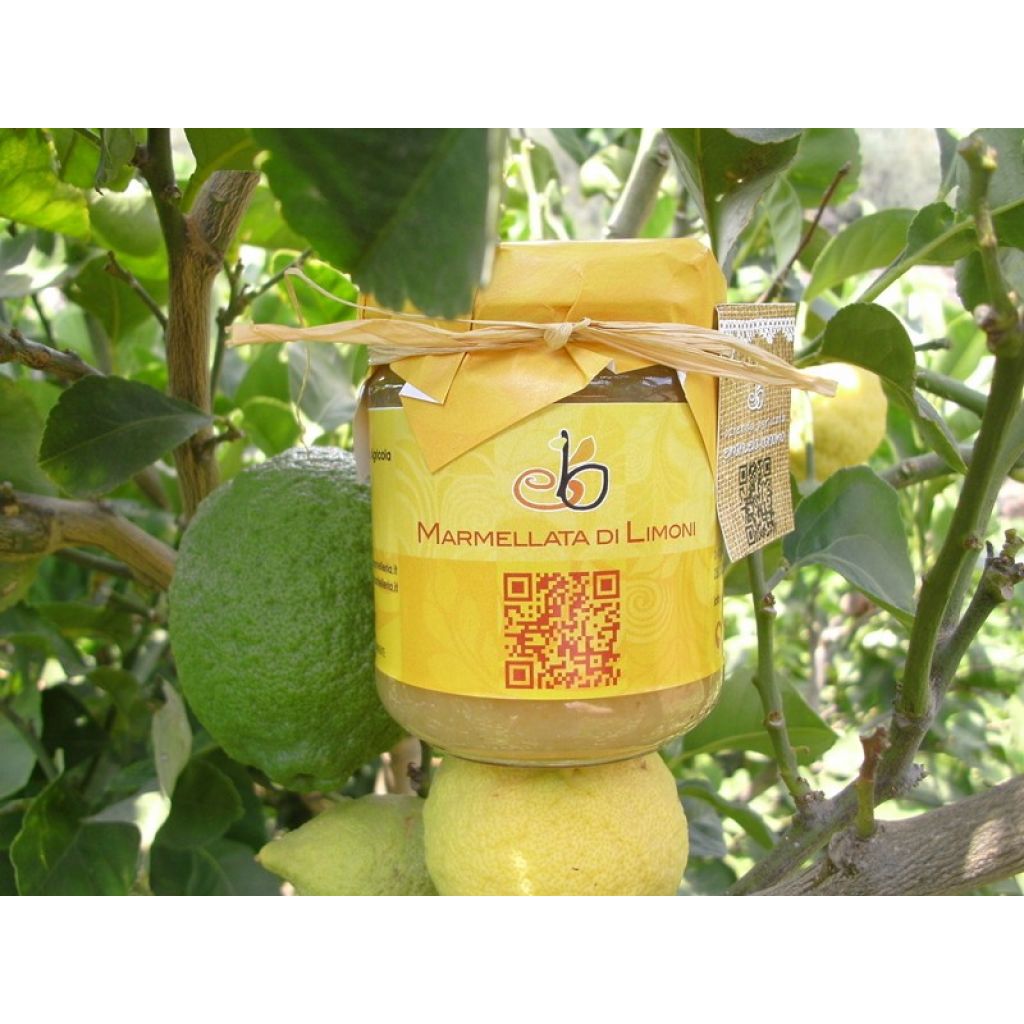 Marmellata di limoni - Vasetto 214 g