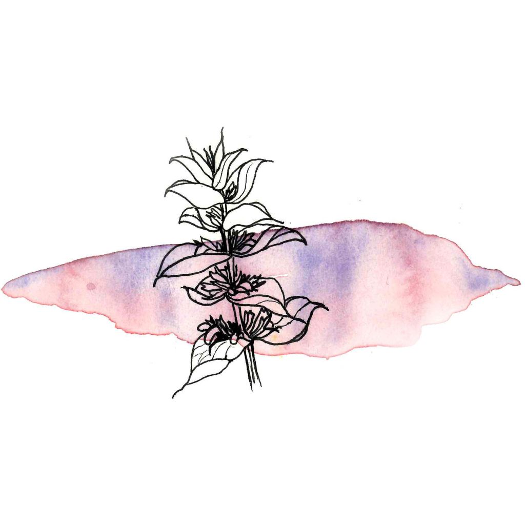 Idrolato di Salvia Sclarea 100ml spray