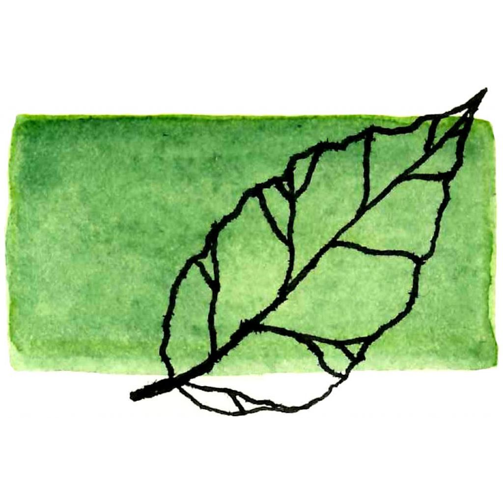 Oleolito di Alloro 30ml