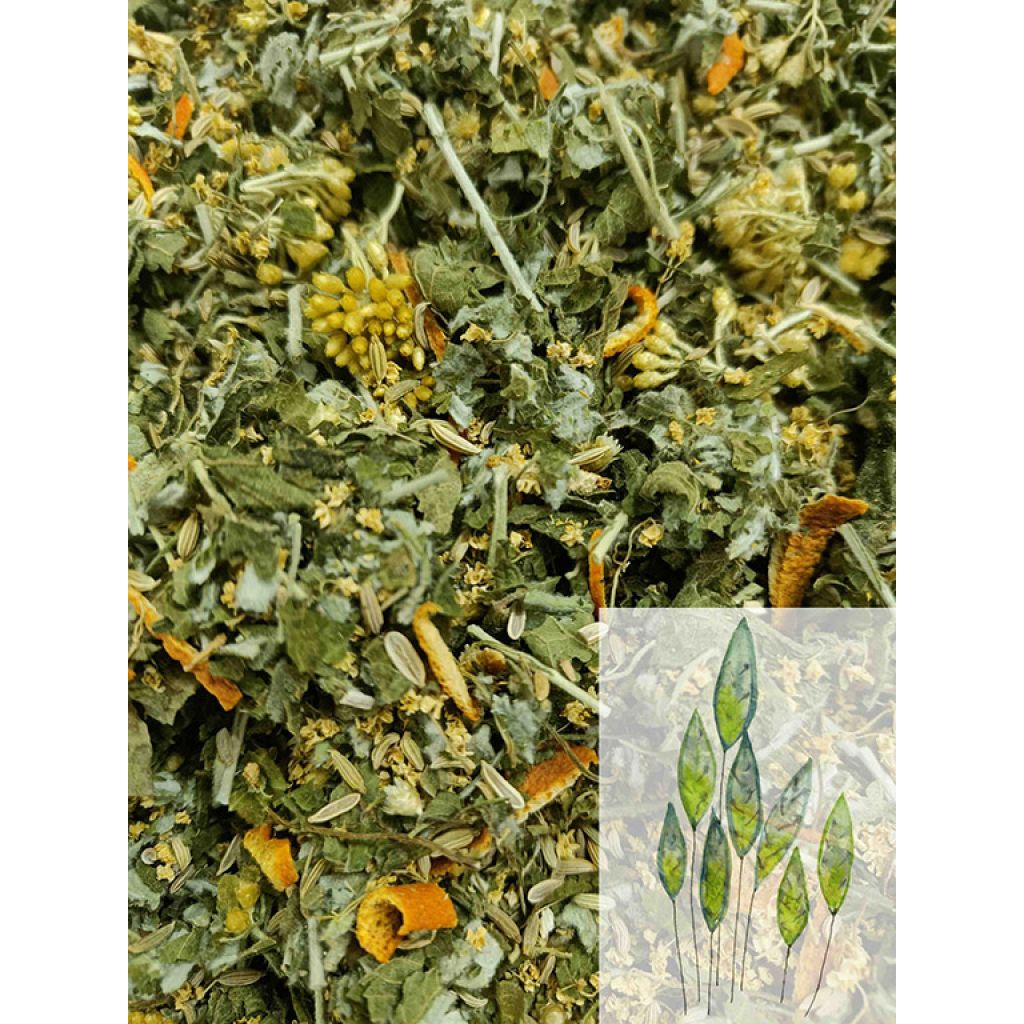 Tisana Depurativa 30g