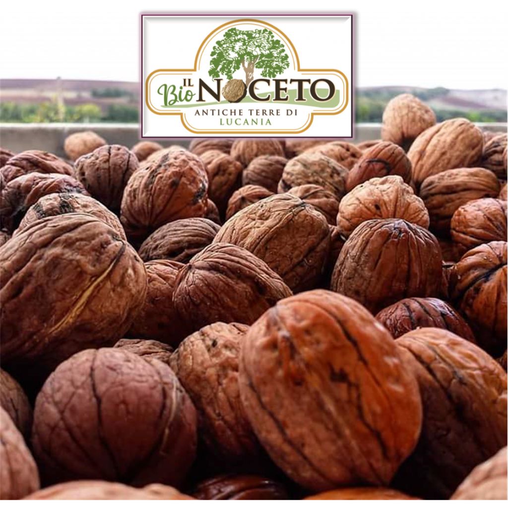 Organic walnuts CHANDLER LARGE caliber 31-36 10 Kg bag