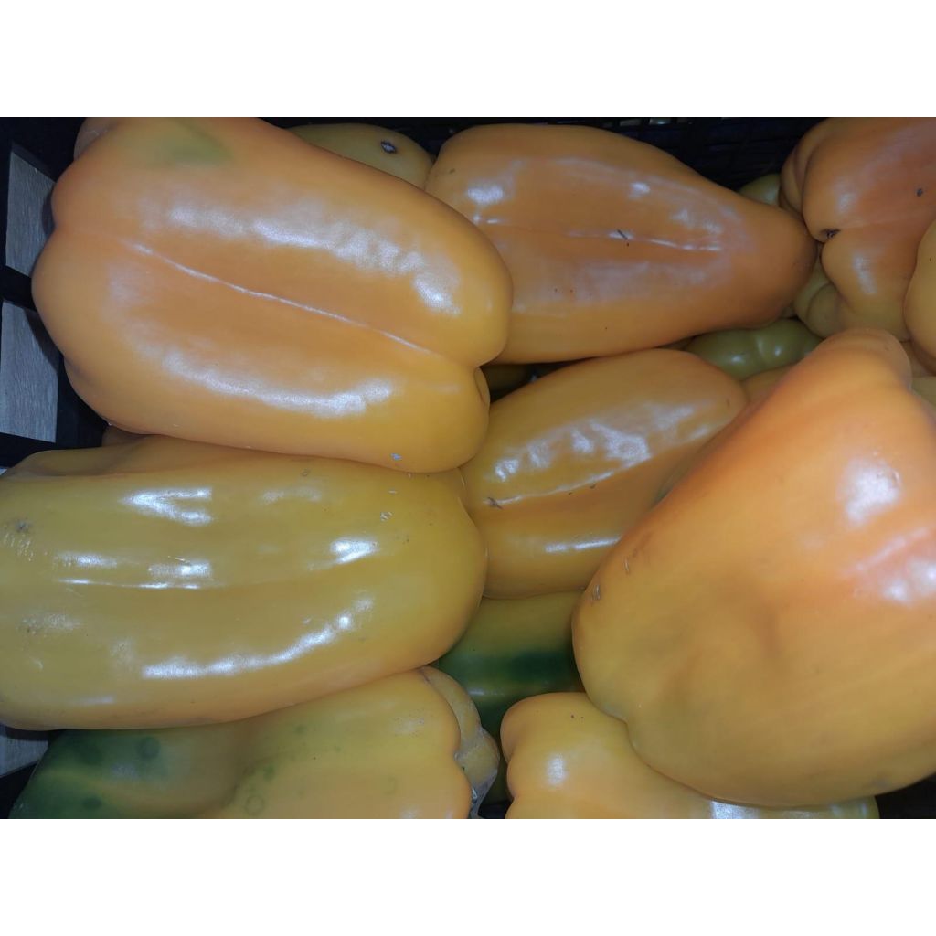 Peperoni gialli 1 kg
