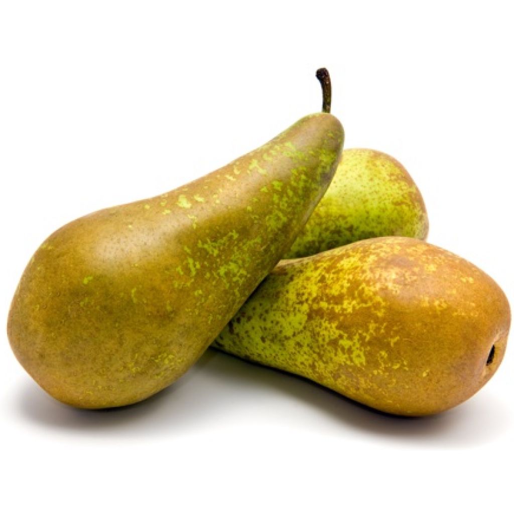 PERE ABATE- Az. Agr. CA BARLETI