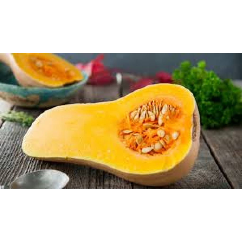 Zucca Butternut - CA' BARLETI