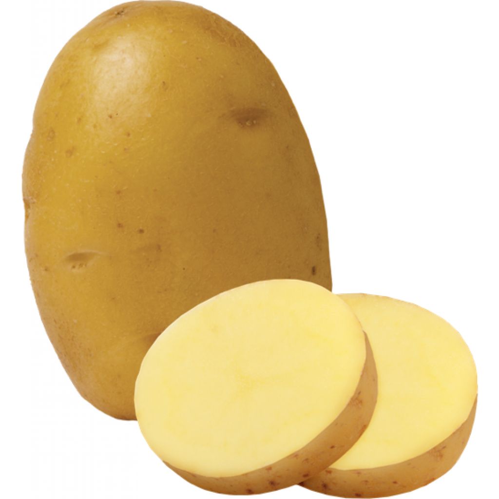 Patate varietà Primura 1kg - IL CHIUSETTO
