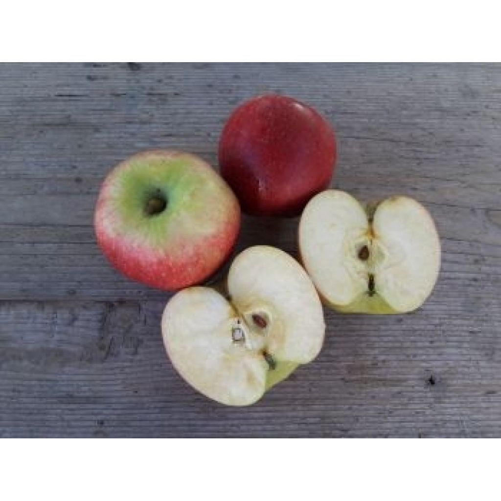 Mele Brina - LA CIMBALONA