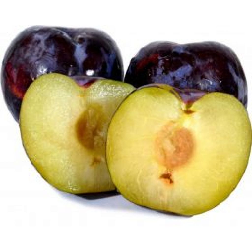 Susine Sandra - LA CIMBALONA