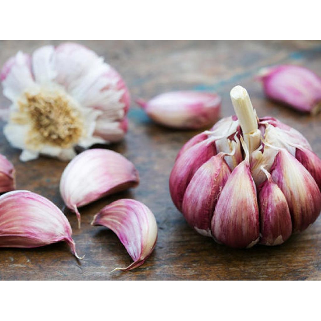 Treccia aglio rosa - DESIDIA