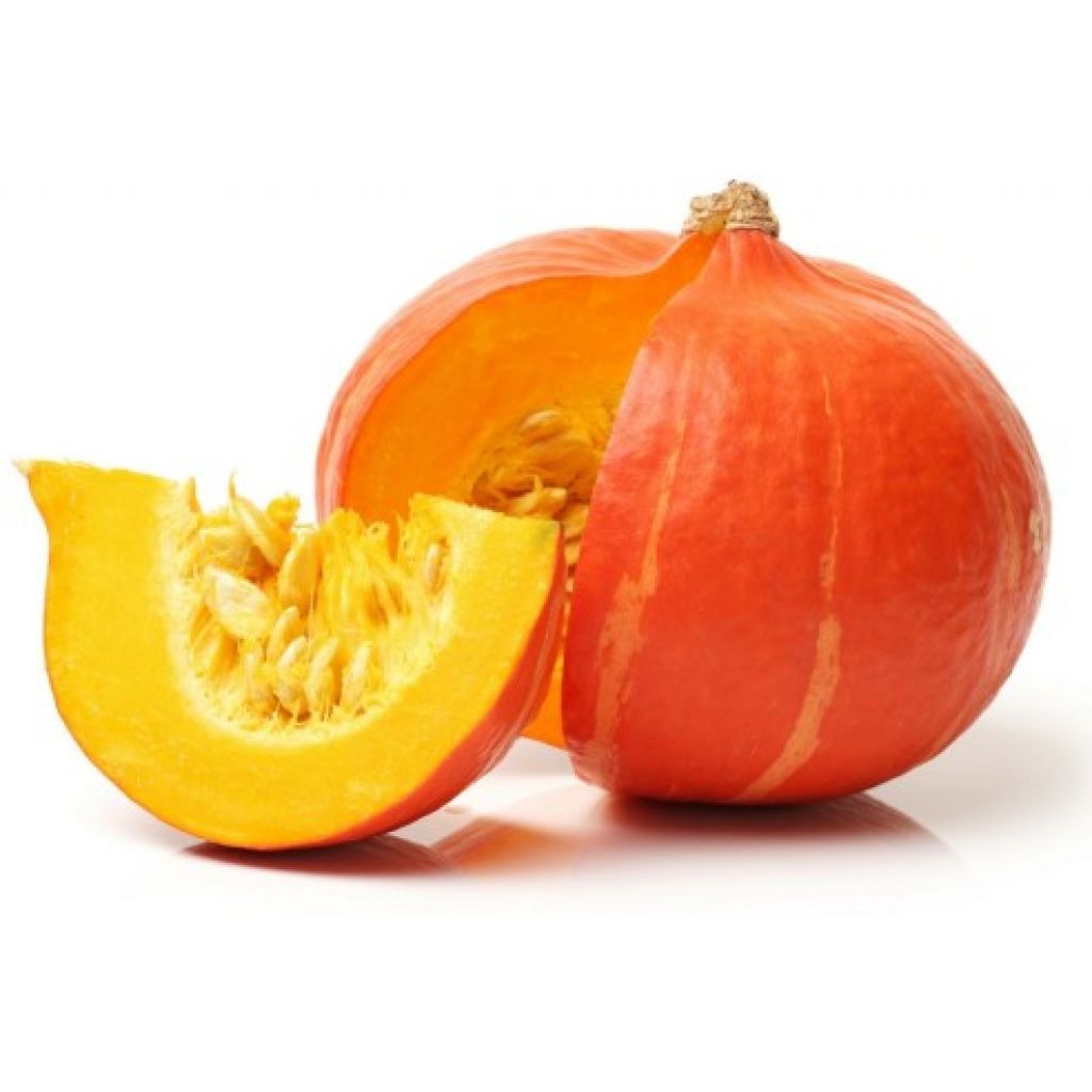 ZUCCA HOKKAIDO 1.5kg circa - POGGI